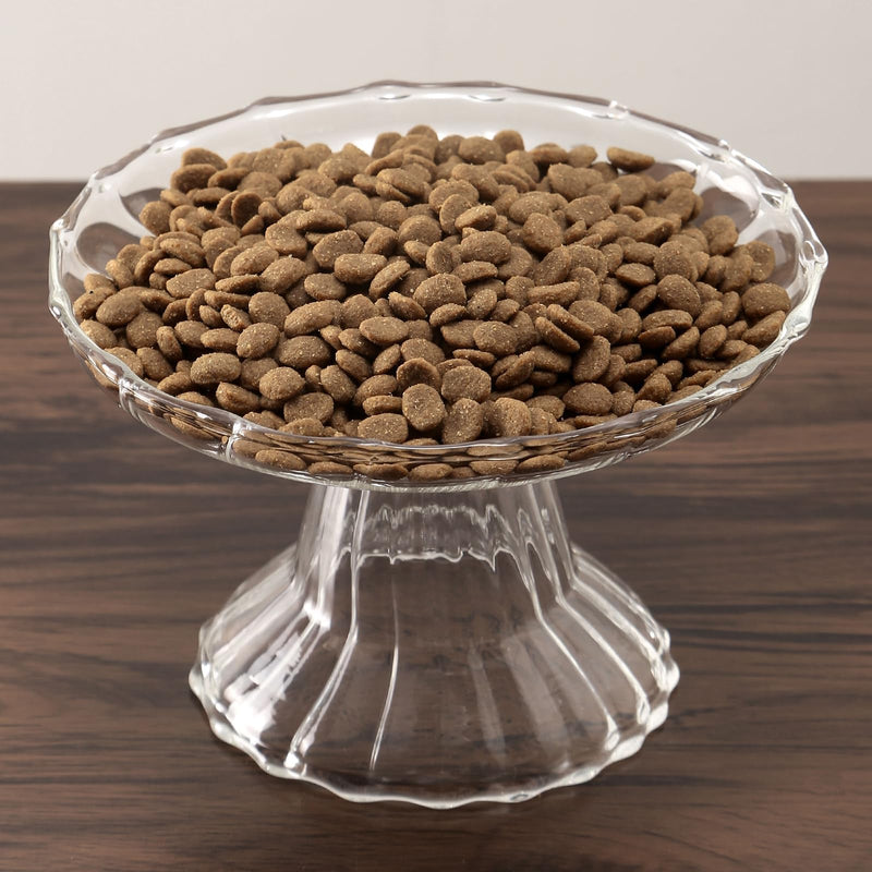 Elevated Cat Bowls Whisker Friendly. Raised Glass Whisker Fatigue Cat Bowl for Indoor Cats Protect The Spine and Prevent Vomiting.