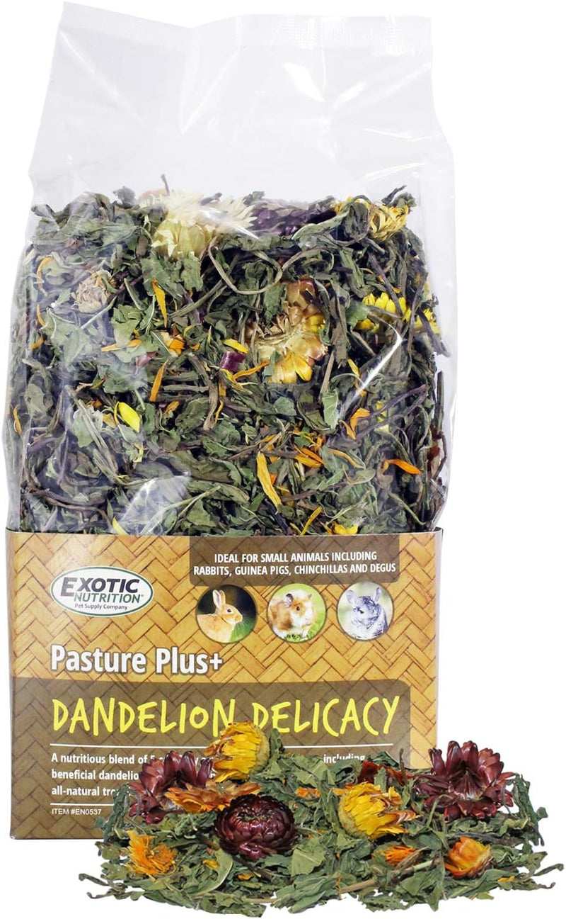 Exotic Nutrition Pasture Plus+ Dandelion Delicacy - Healthy Natural High-Fiber Dried Flower Treat - Guinea Pigs, Rabbits