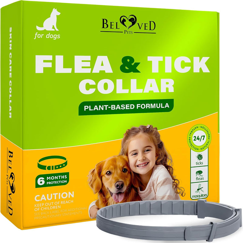 Natural Flea & Tick Collar for Dogs - 6 Months Control of Best Prevention & Safe Treatment - Anti Fleas and Ticks Essent