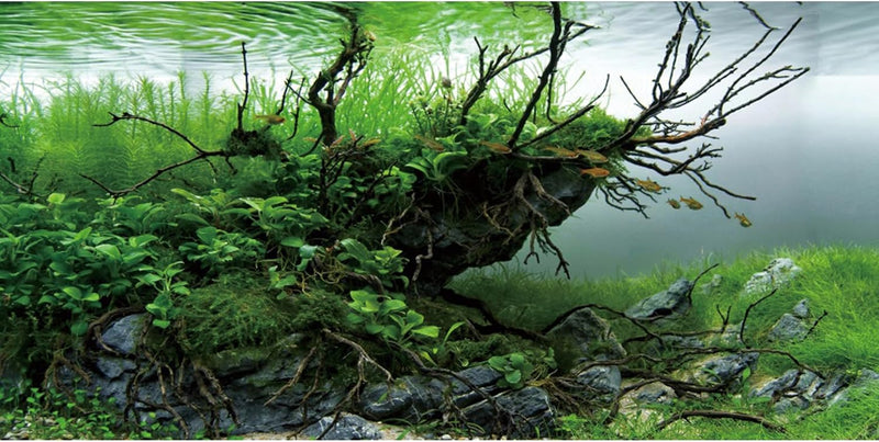 AWERT 48x24 in Branch Aquarium Backdrop Seagrass Fish Tank Background