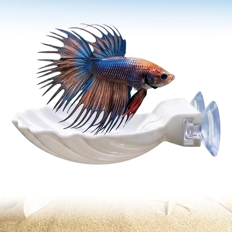 Betta Fish Hammock Shell, Shell Bed with Strong Suction Cup (White)