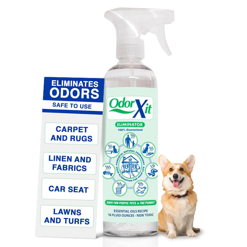 Pet Urine Odor Eliminator Spray, Ideal for Cat, Dog Poo and Urine Smell, Versatile & Natural Odor Neutralizer for Home and Outdoor Use, Ready to Use, 16oz