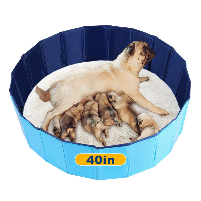 FLKQC Whelping Pen for Dogs, Foldable Birthing Pool for Dogs, Whelping Box for Dogs and Puppies, Poartable Plastic Swimming Pool & Bath Tub (Blue) (39.4” Dia. × 11.8” H (100cm × 30cm))