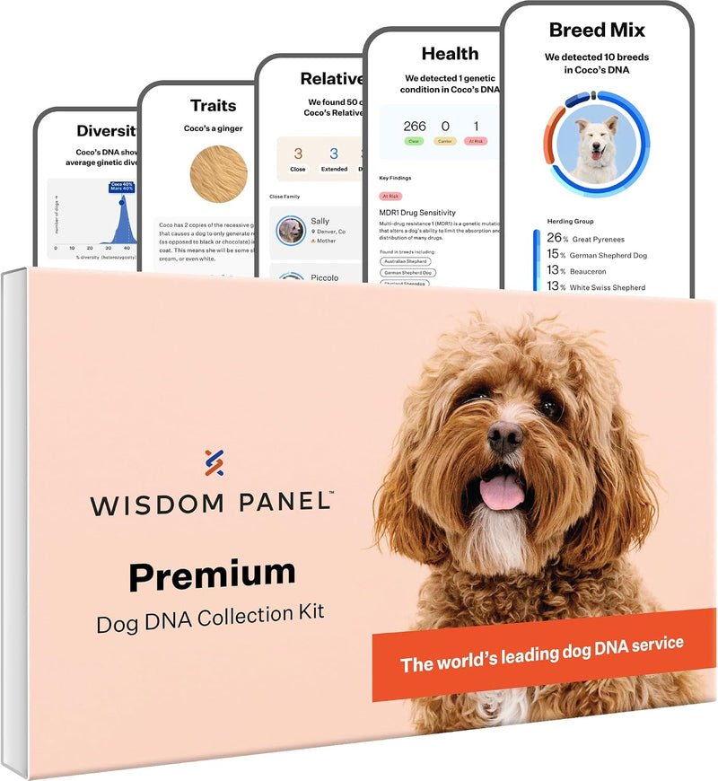 Wisdom Panel Premium Dog DNA Kit: Most Comprehensive with 265+ Health Tests, Identify 365+ Dog Breeds, 50+ Traits, Relatives, Ancestry, Genetic Diversity - Pack of 1