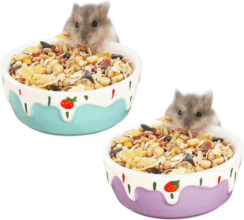 VanEnjoy 2 Pack Hamster Food Bowl Small Ceramic Water Food Bowl for Cage Small Animal Bowls for Hamster Guinea Pig Chinc