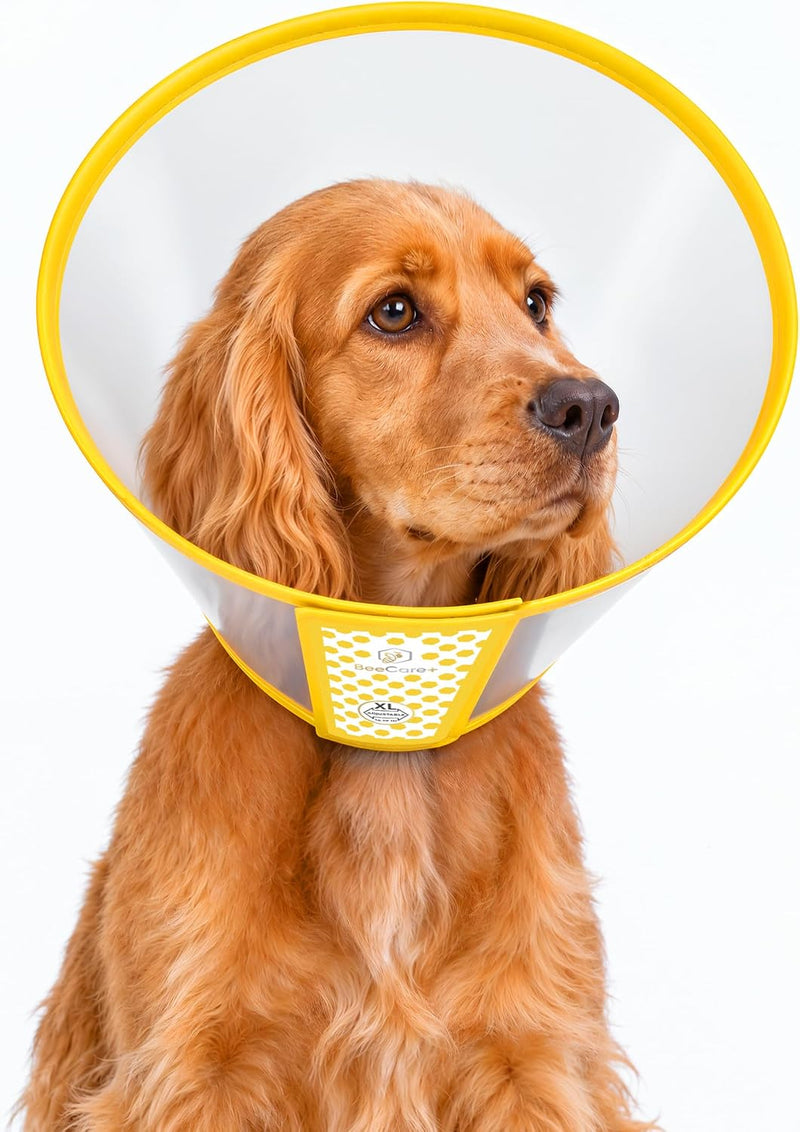 Adjustable Dog Cone Collar to Stop Licking After Surgery & During Recovery