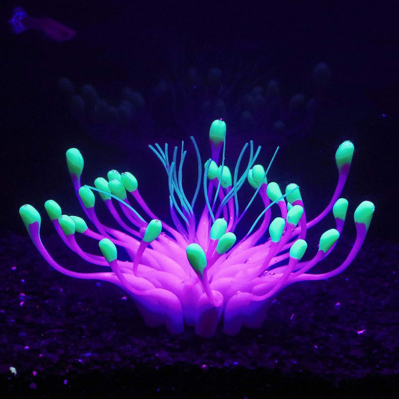 Soft Silicone Glow in the Dark Aquarium Coral Ornament (Purple, Equinox)