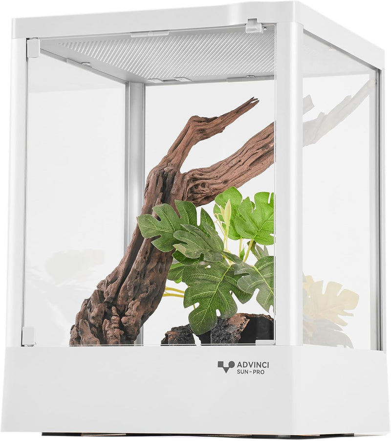 Reptile Terrarium 12