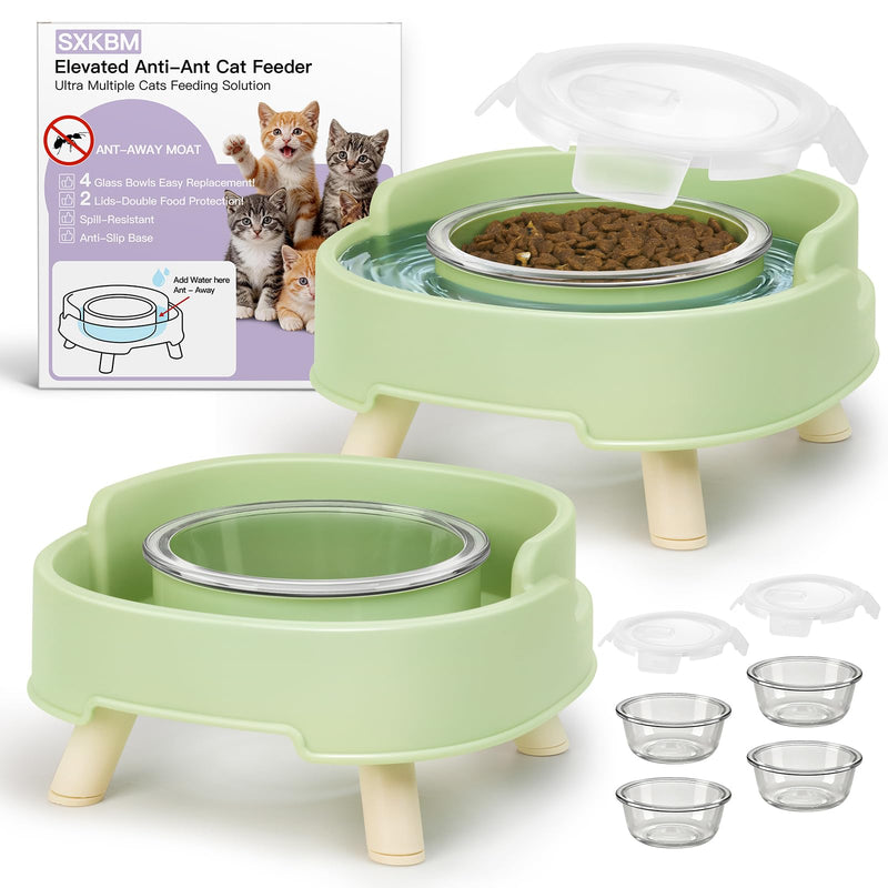 SXKBM 2 Pack Ant Not Cross Elevated Cat Bowls Mess Proof-4 Food Grade Glass Bowls & 2 Lids- No Spill Cat Food and Water Feeding Station for Cats&Puppy Indoor & Outdoor,No Whisker Fatigue Dish,Green