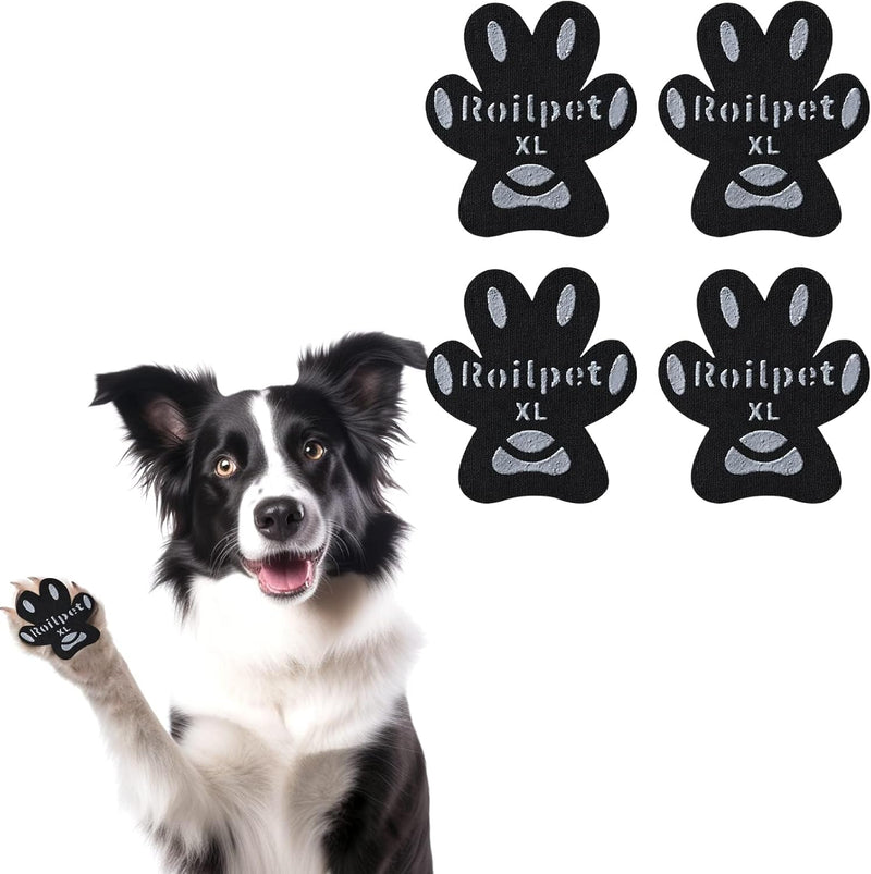 Dog Paw Pads for Senior Dogs to Prevent Slipping on Hardwood Floors