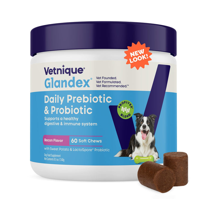 Vetnique Glandex Dog Probiotic Chews, Daily Probiotics for Dogs 5 Strains, Prebiotics & Digestive Enzymes for Gut & Immune Health, Vet Formulated for Occasional Diarrhea (60ct Chews, Probiotic Chews)