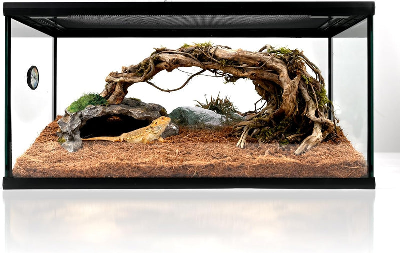 Reptile Glass Tank 20