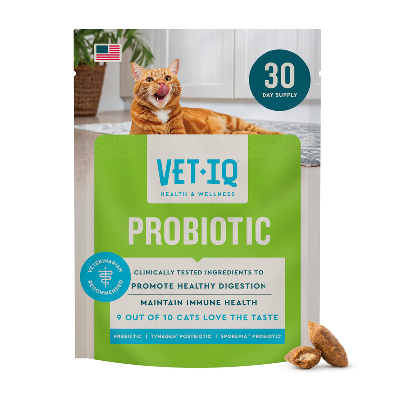 VetIQ Cat Probiotics Supplement – Probiotic, Prebiotic & Postbiotic Cat Supplements, Digestive & Gut Health Support, Constipation & Diarrhea Relief, Chicken Flavored, 3.7 oz
