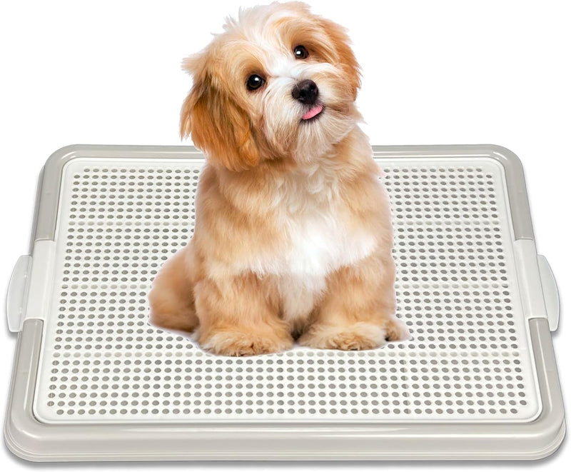 Dog Pee Pad Holder Tray, Puppy Potty Training, 22.5