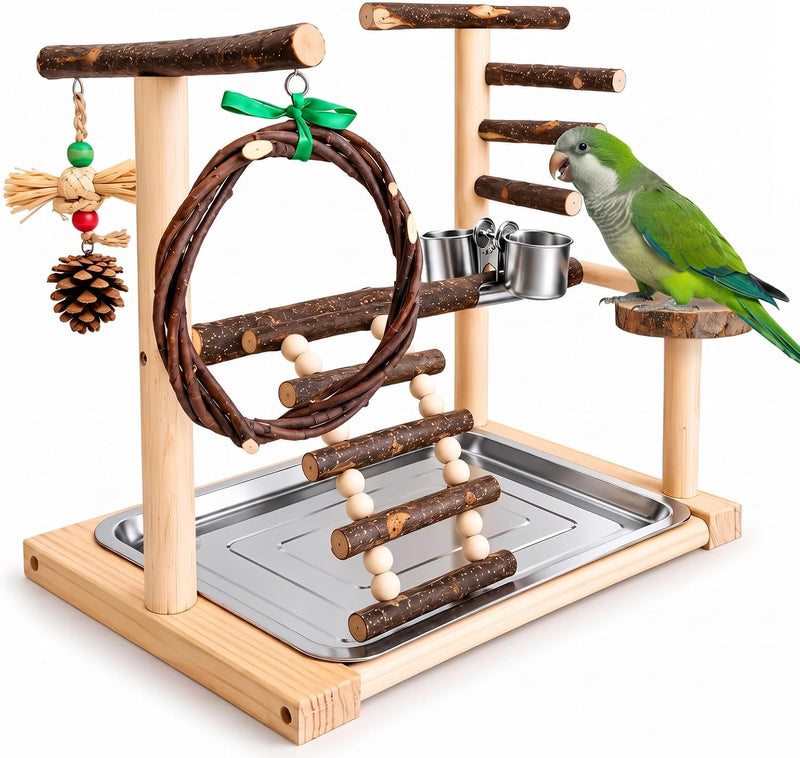 SCETTAR Bird Playground, Natural Wood Parrot Stand with Feeding Cups