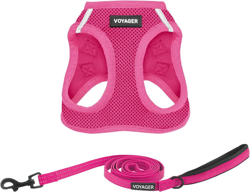 Best Pet Supplies Voyager Step-in Air All Weather Mesh Harness and Reflective Dog 5ft Leash Combo with Neoprene Handle,