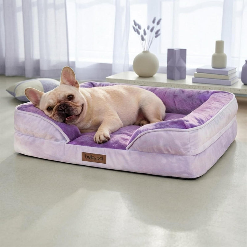 BELLA & PAL Orthopedic Dog Sofa Bed for Small/Medium Dog No Assembly Needed