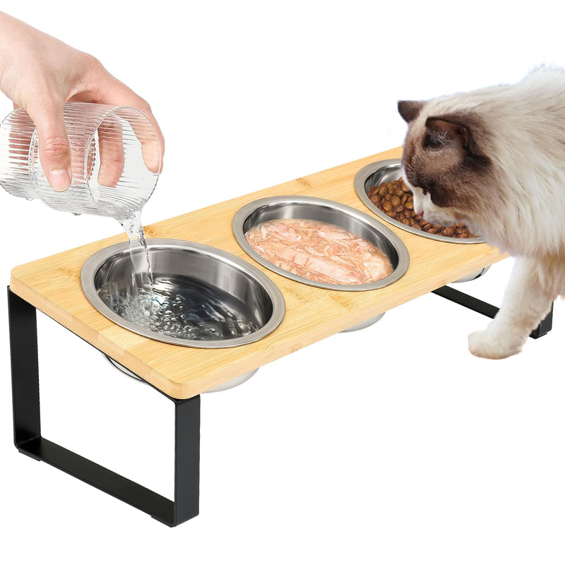 Elevated Cat Bowls with 3 Stainless Steel, 15° Tilted Raised Cat Bowl Set, for Indoor Cats for Small Cats and Puppies Pet Bowls with Stand