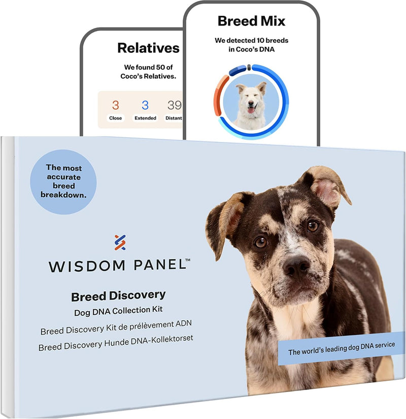 Wisdom Panel Dog Breed Detection DNA Test Kit - Accurate Breed ID MDR1 Pedigree Relatives