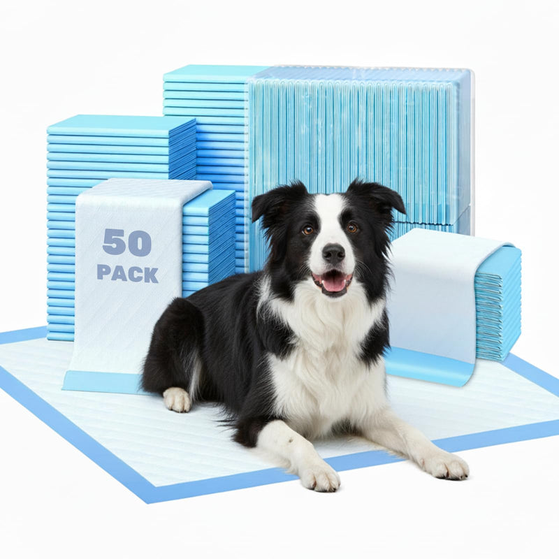 FluffyDream Super Absorbent Waterproof Dog and Puppy Pet Training Pad, Housebreaking Pet Pad,Blue (17.6