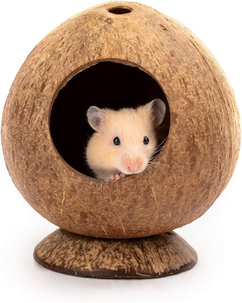 andwe Coconut Hut Hamster House Bed Natural Gerbils Hideout
