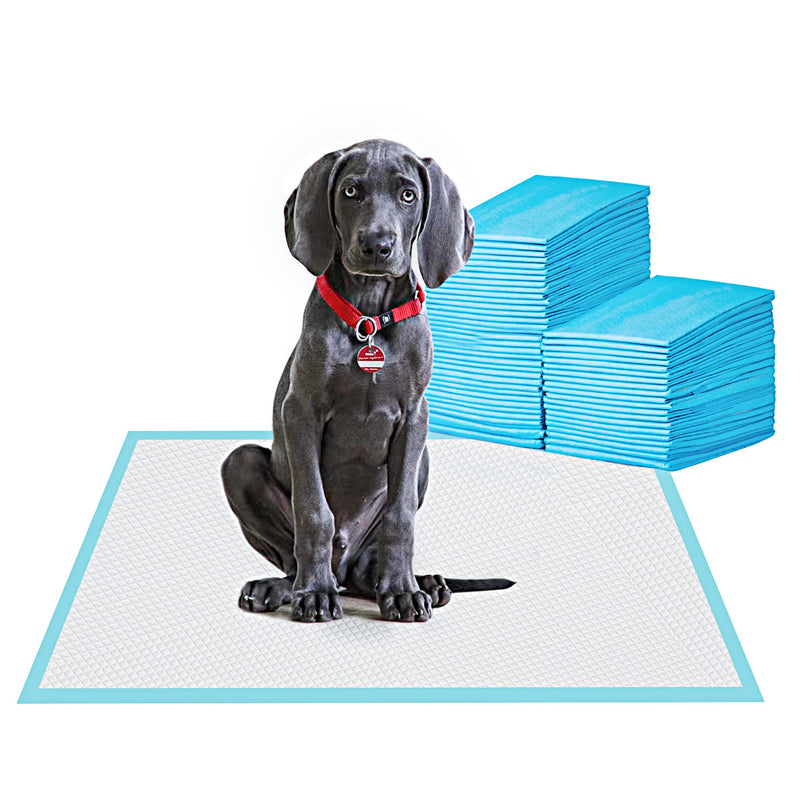 BESTLE Large Pet Training and Puppy Pads Pee Pad for Dogs 24