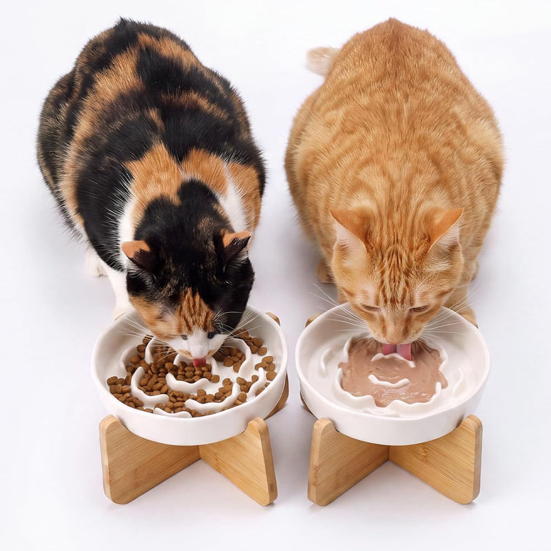 2 Set Raised Slow Feeder Cat Bowl with Stand Ceramic