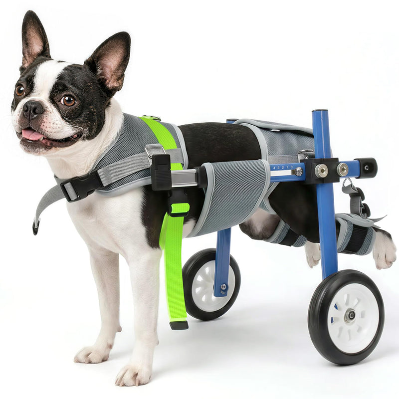Lightweight and Adjustable Dog Wheelchair for Back Legs, Dog Carts with Wheels for Disabled Dogs, Thick Harness Support Mobility Cart for Pets