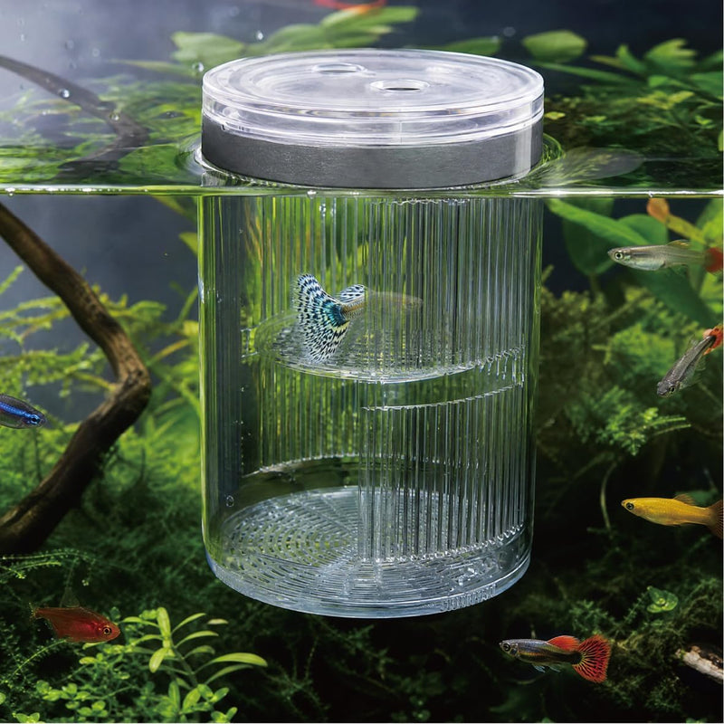 Floating Breeder Box for Fish Tank, Acrylic Baby Aquarium Isolation Box Hatchery Incubator Tank with Suction Cups for Gu