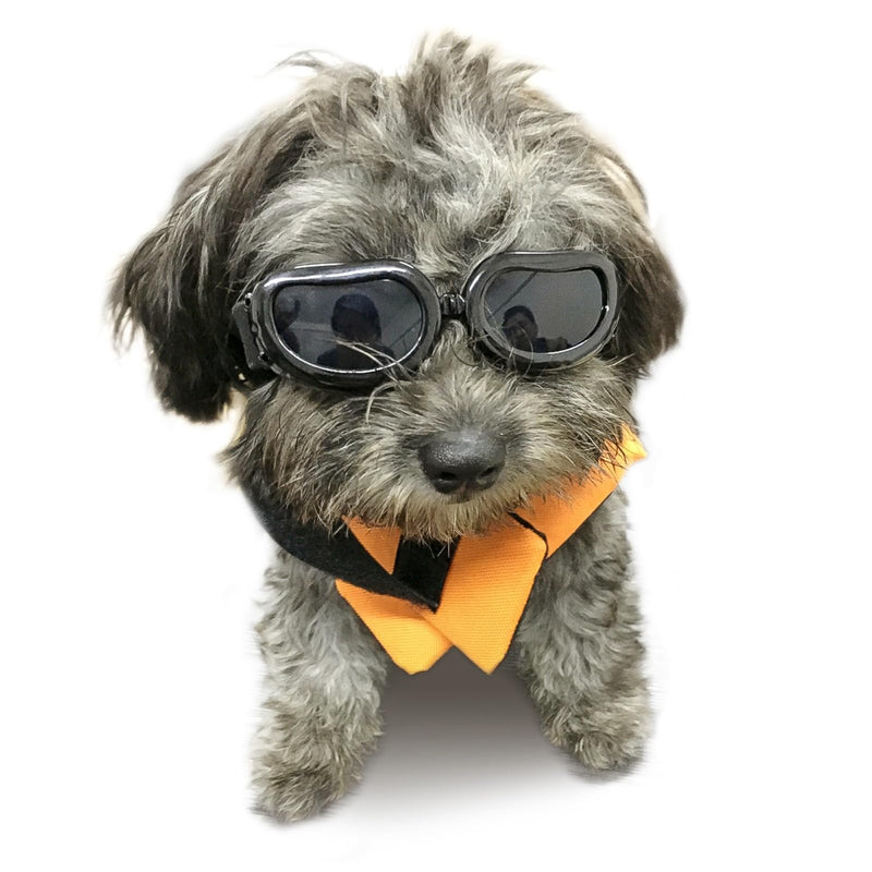 Enjoying Dog Goggles Small Breed, Dog Sunglasses UV Protection, Cycling Eye Protection for Small Dogs, Breathable Windproof Dustproof Anti-Fog, Adjustable Straps, Classic Black