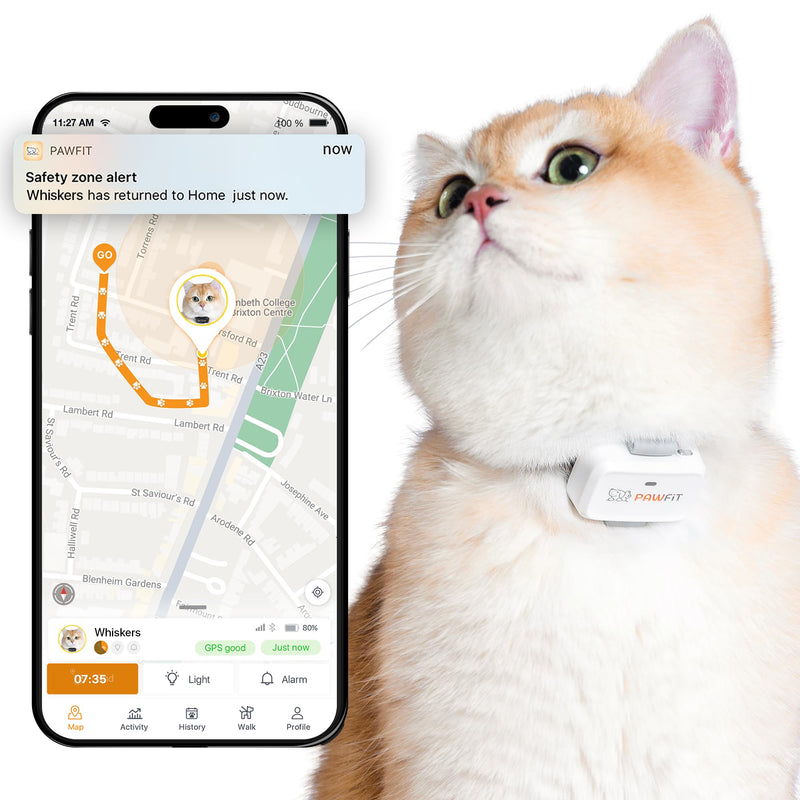 Pawfit Lite for Cats 4g GPS Tracker | Ultra-Small (<18g) Design | Real-Time Tracking | Activity Monitoring | Location History | Unlimited Range | Safety Collar Included | Simply White