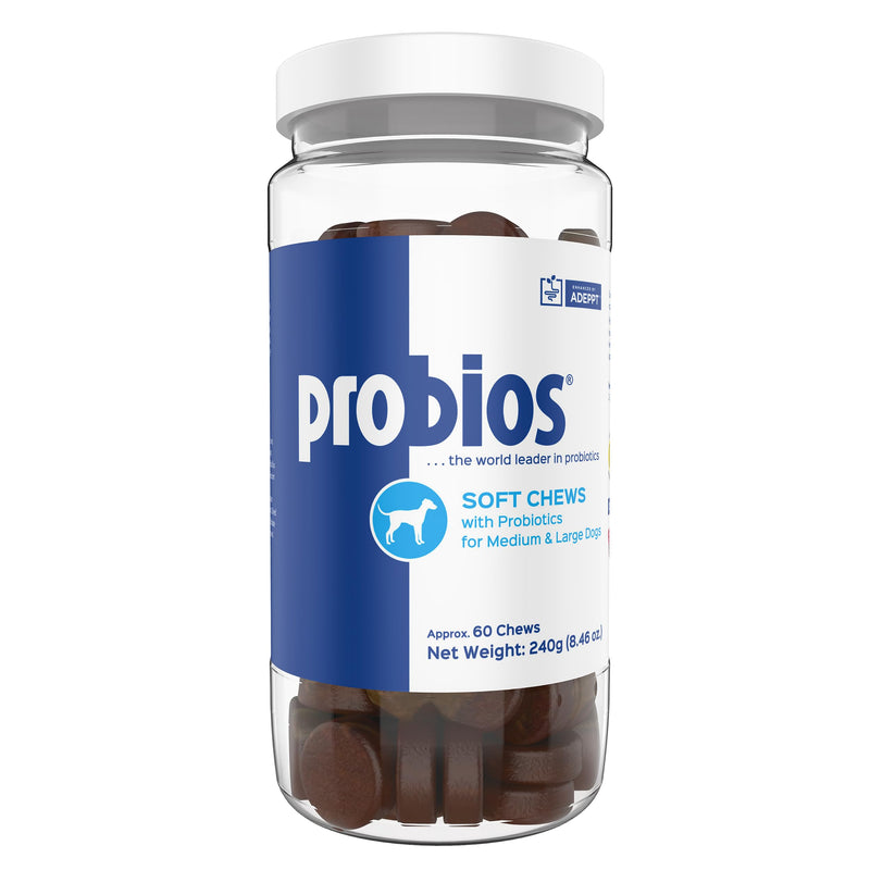 Probios for Dogs Soft Chews, Daily Probiotic Supplement for Gut Health, Digestion and Immune Support Medium and Large Breeds, Chicken Liver Flavor, 8.46oz 60 Chews