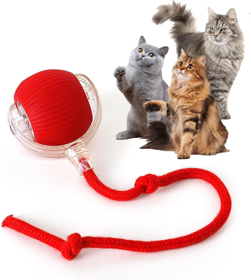 Rocfish Interactive Cat Toys for Indoor Cats, Automatic Cat Ball Toy