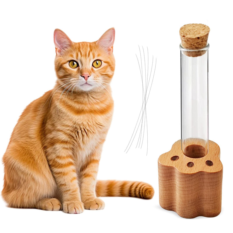 Cat Whisker Jar, Mini Glass Vase for Whiskers, Cat Whisker Holder, Elegant Memorial Gift for Pet Lovers