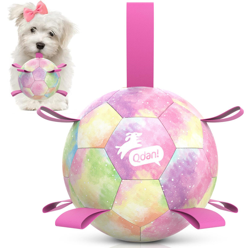 QDAN Dog Balls, Dog Soccer Ball with Straps, Pink Girl Puppy Toy Balls for Small Medium Dogs, Outdoor Water Pool Toys, Puppy Pet Birthday Gifts, Rainbow(6 Inch)