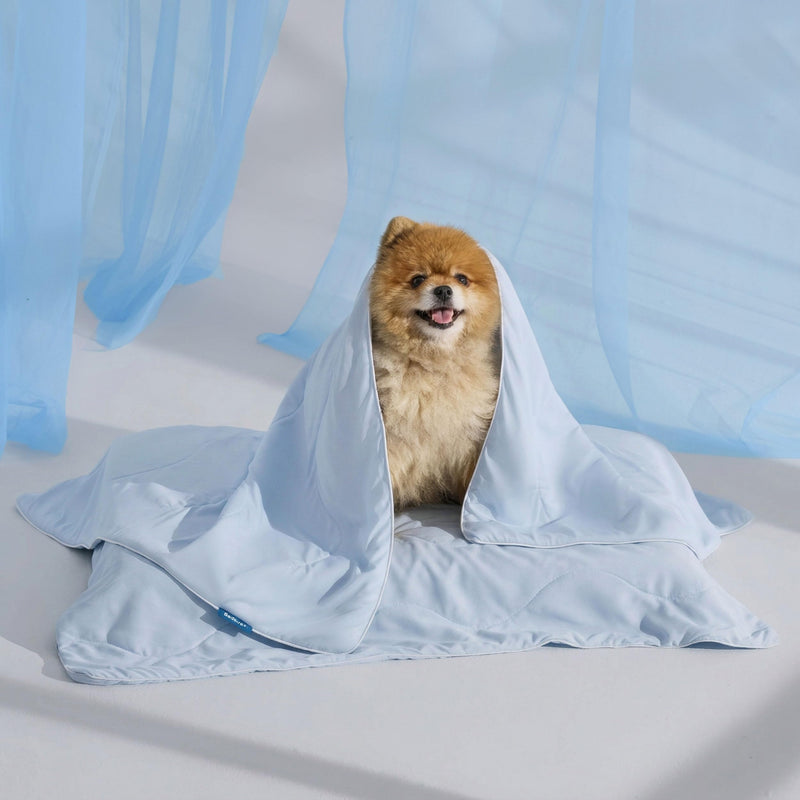Bedsure Cooling Blanket for Small Dogs with Breathable Air-Core Fill Q-MAX>0.4 - Dog Cooling Mat Soft, Lightweight Pet Cat Throw Cold Blanket Washable for Summer, Arctic Blue, 25x35
