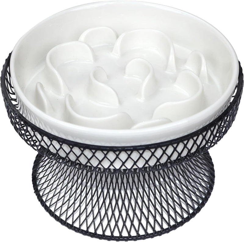 Raised Ceramic Cat Slow Feeder Bowl, Elevated Cat Plate with Stand, Slow Bowl for Wet and Dry Food, Whisker Friendly Pet