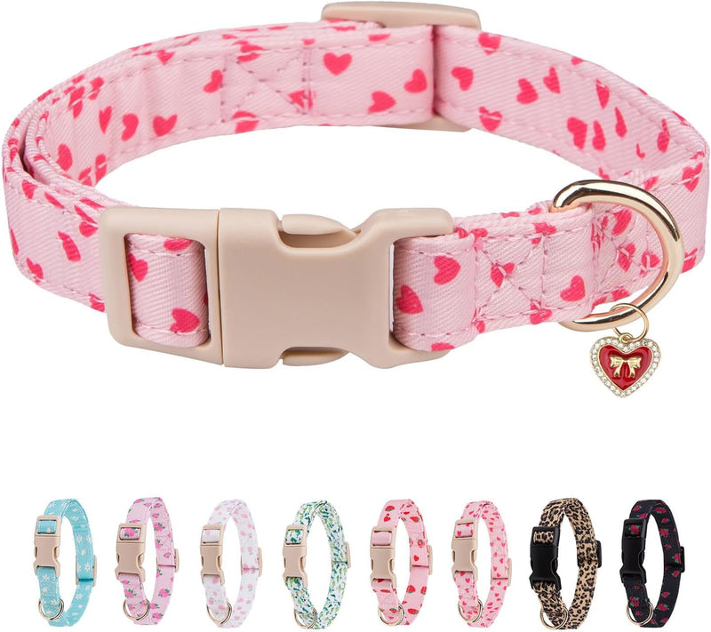 Dog Collar for Small, Medium & Large Dogs(PinkHeart,S)