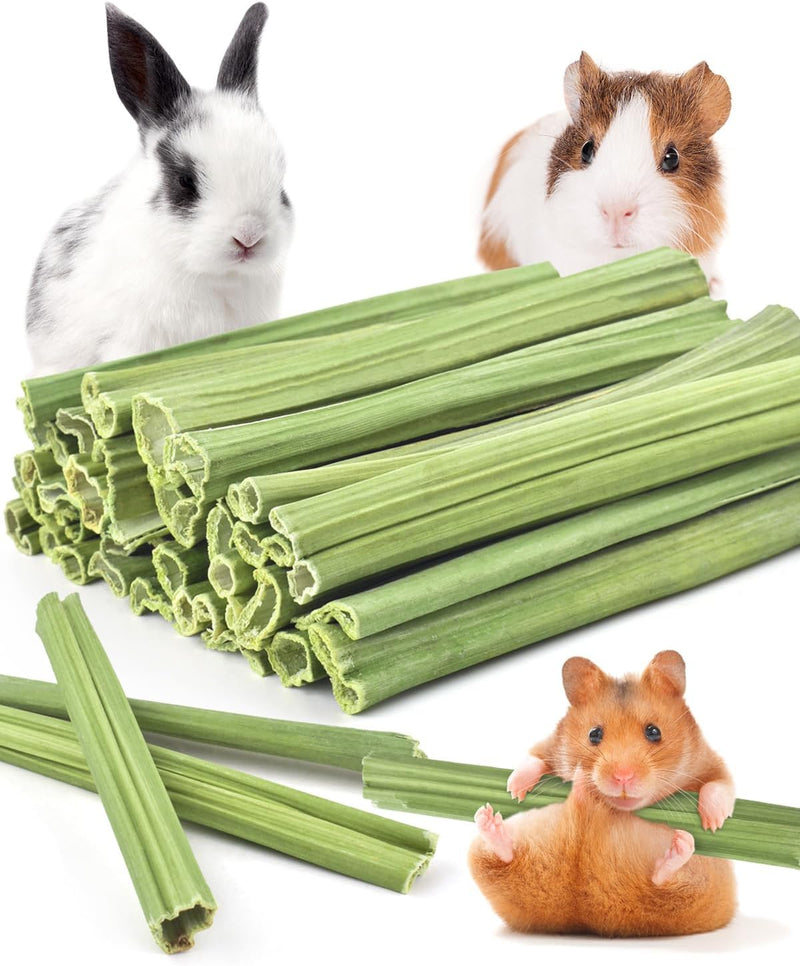 Bissap 35PCS Rabbit Chew Sticks, Natural Papaya Stems Bunny Chews Treats for Rabbit Hamster Chinchilla Guinea Pig Small