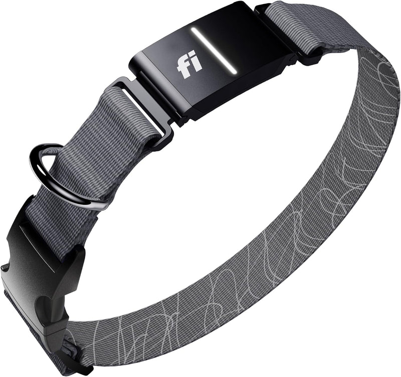 Fi Series 3+ GPS Dog Collar & Tracker, Membership Required, Gray L