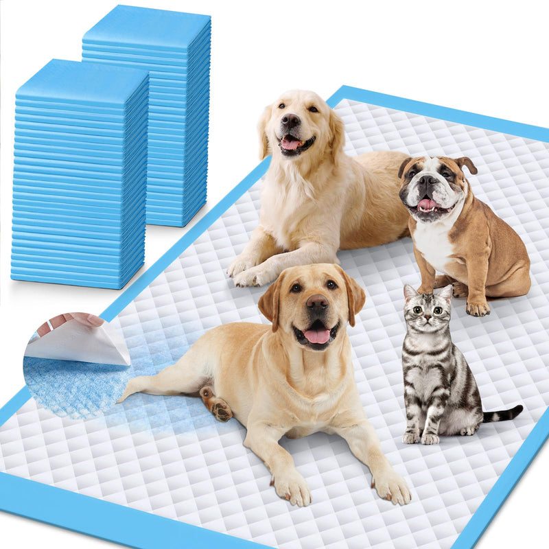 iweepet Enormous 37