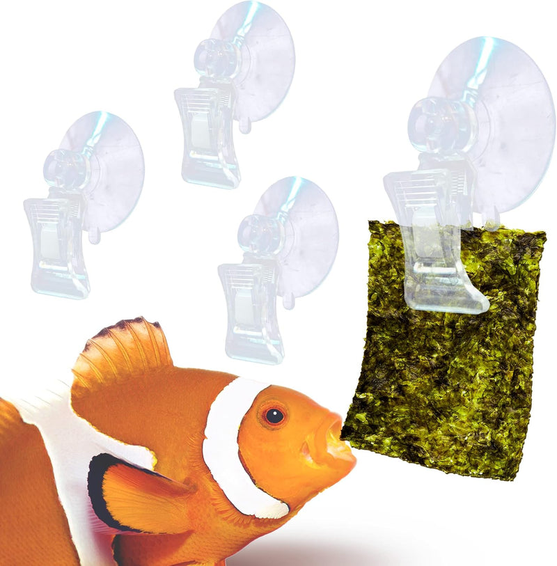 JOR 4 Pack Fishes Veggie Kelp Plant Suction Cup Clips for Aquariums, 2” x 1”, Feeding Tool, Aquarium Accessory for Fish