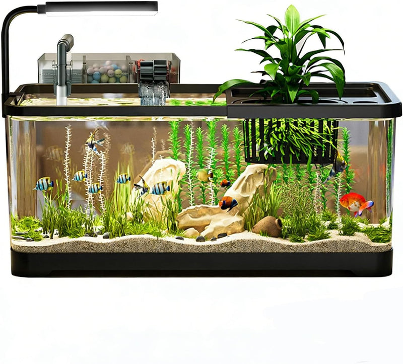 5 Gallon Fish Tank, Aquarium Plastic Starter Kit with Filter, led Light, sponge, and filter ball, Fish Tank for Betta, P