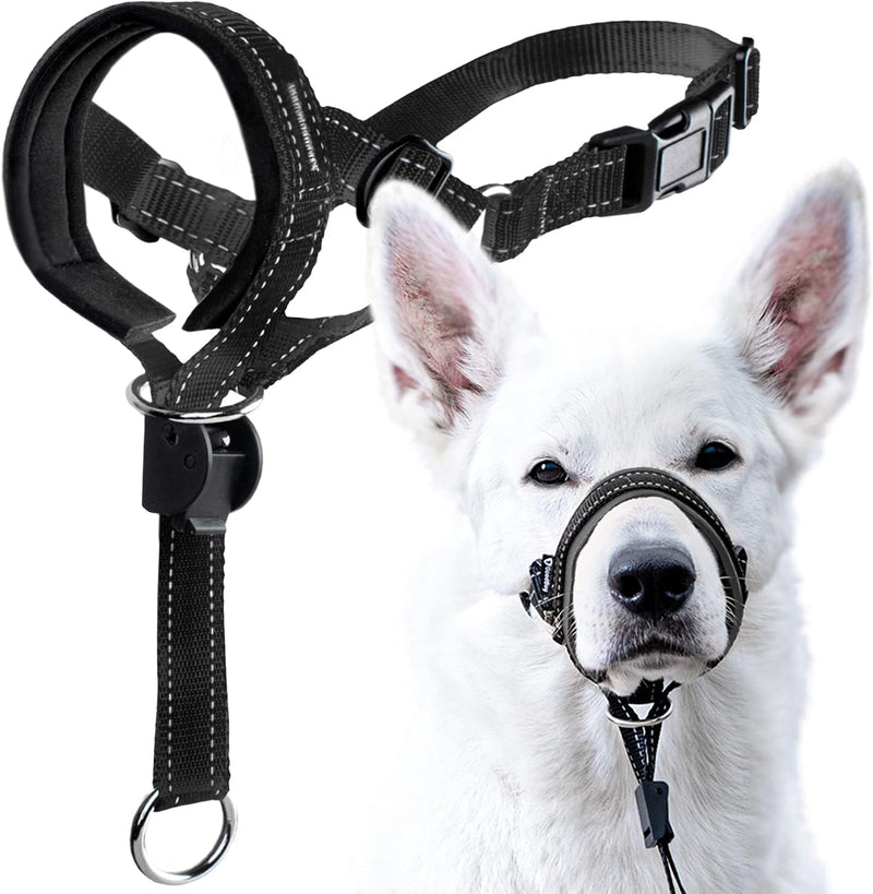 GoodBoy Dog Head Halter with Safety Strap - Stops Heavy Pulling On The Leash - Padded Headcollar for Small Medium and La