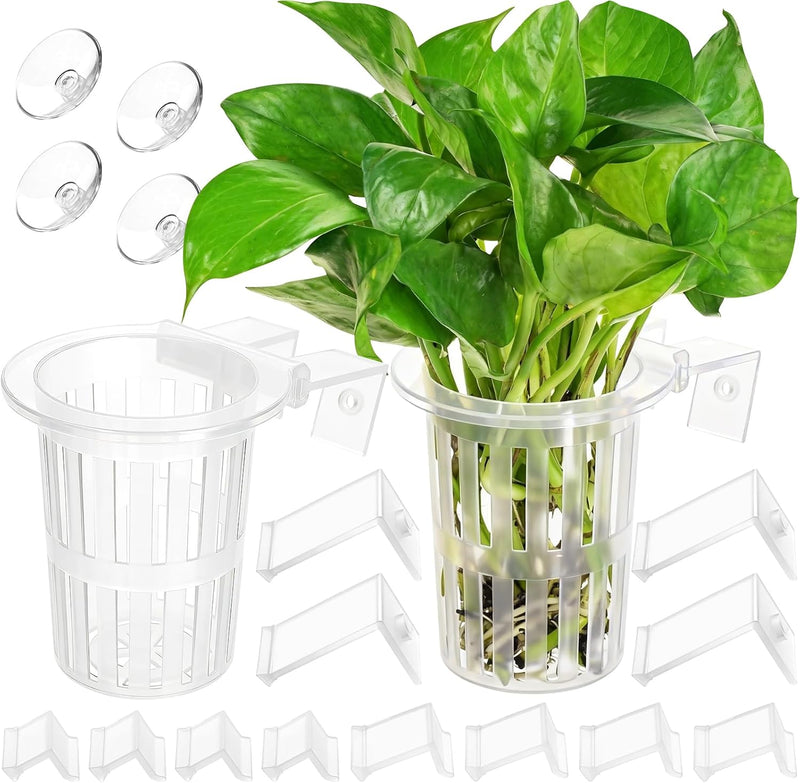Borlech New Upgraded Large Aquarium Plant Holder with 1.57-inch Extension Hooks and Suction Cups for Fish Tank Aquaponic