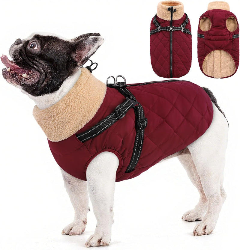 Queenmore Dog Jackets for Medium Dogs, Dog Coat with Harness Built in