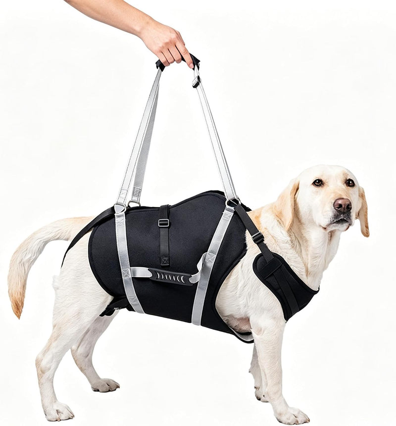 Waterproof Dog Lift Harness for Large Dogs 66-105 lb, Full Body Support Sling with Handles for Senior, Injured & Recover