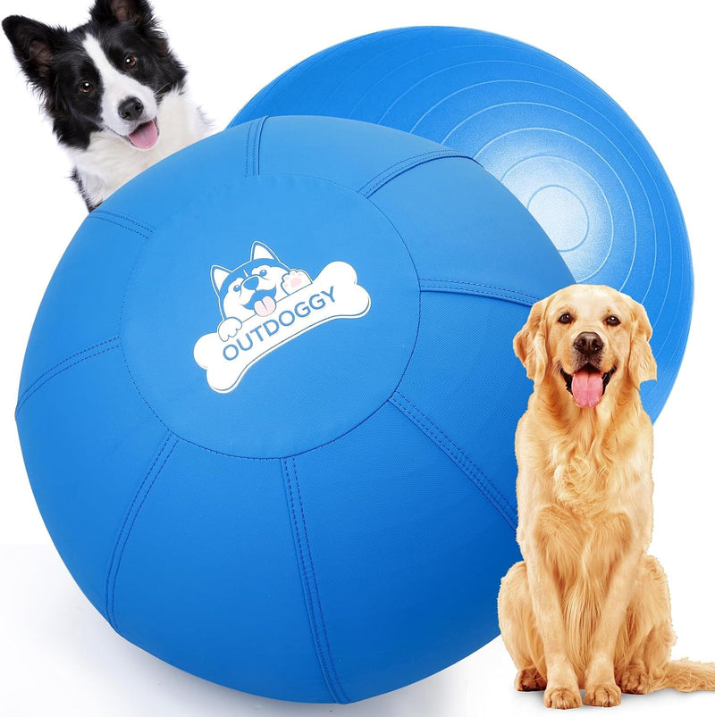 18'' Herding Ball for Dogs, Heavy Duty for Small & Medium Breeds
