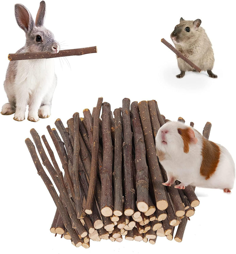 700g Apple Sticks Molar Wood Treats, Rabbit Toys Chinchilla Guinea Pig Bunny Toys Wood Chews Sticks for Teeth Rabbit Foo