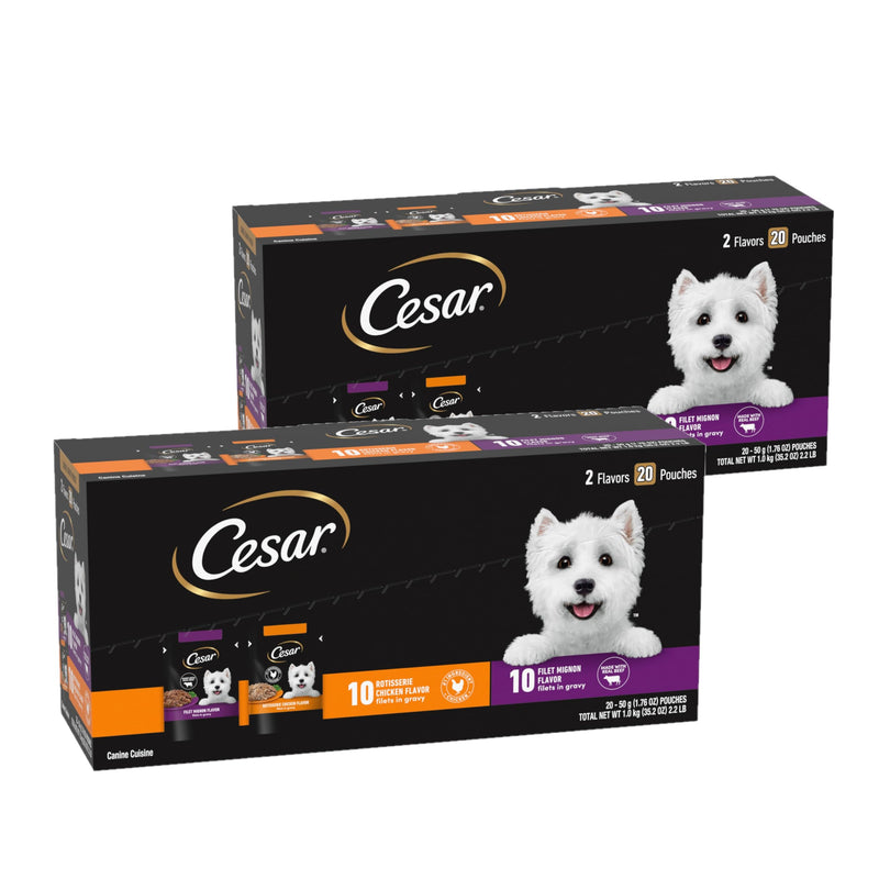Cesar Filets in Gravy Wet Dog Food Filet Mignon Flavor and Rotisserie Chicken Flavor Variety Pack, Wet Food for Dogs, 1.76 oz. Mini-Pouches, 20 Count (Pack of 2)